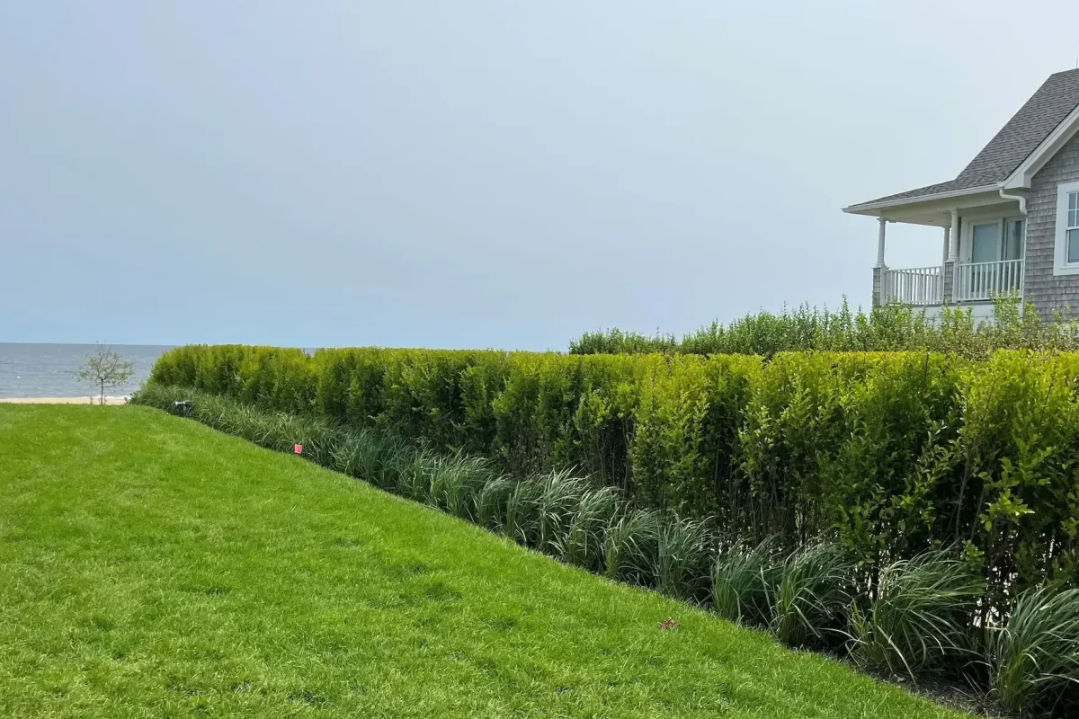 1-2-1-e1769506497287 (1)